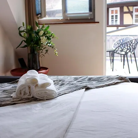 The Elsholz - Roof Terrace - Sauna - Loft - Charm * Bad Windsheim