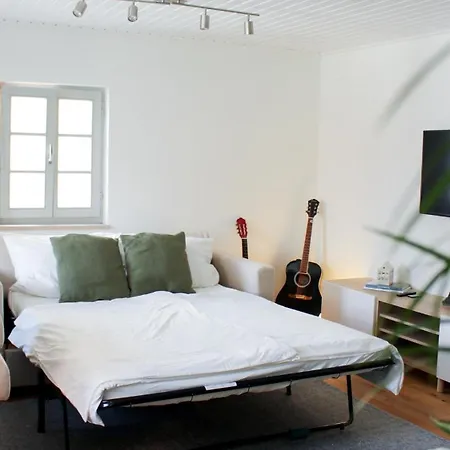 Dom wakacyjny The Elsholz - Roof Terrace - Sauna - Loft - Charm Bad Windsheim
